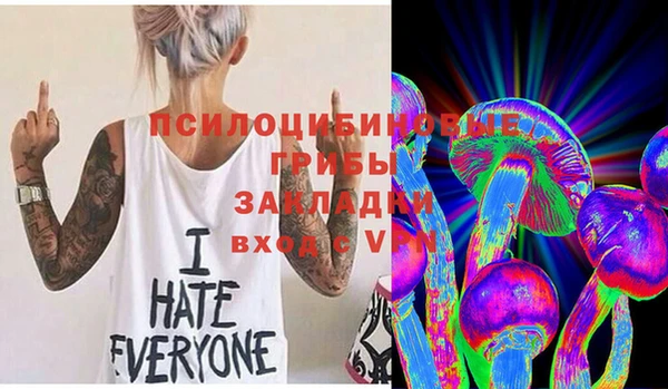 индика Армянск