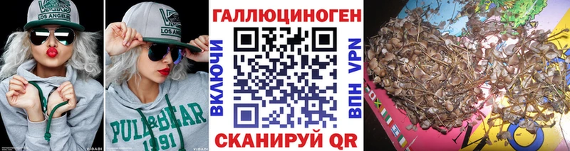 hydra как зайти  Семёнов  Псилоцибиновые грибы прущие грибы 
